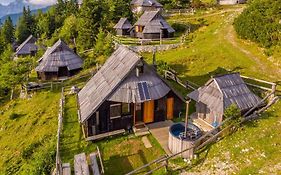 Chalet Zlatica Velika Planina